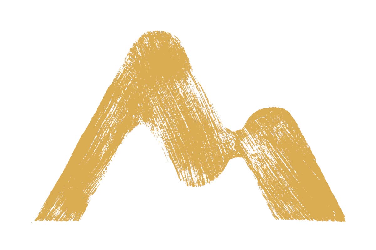 Flow Metrics Training